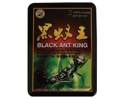Чёрный Королевский муравей